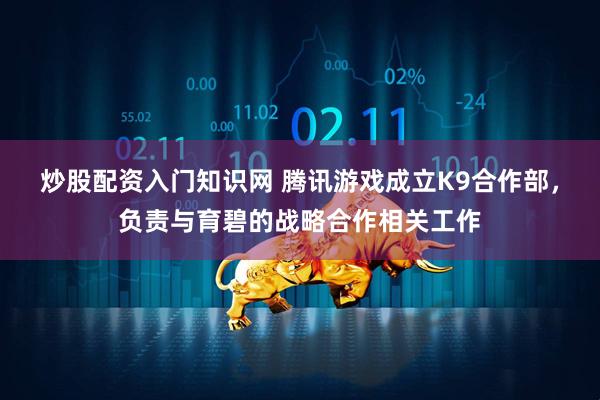 炒股配资入门知识网 腾讯游戏成立K9合作部，负责与育碧的战略合作相关工作